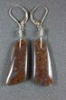 Orange/Brown Spiderweb Dinosaur Gembone Earrings #22526-2